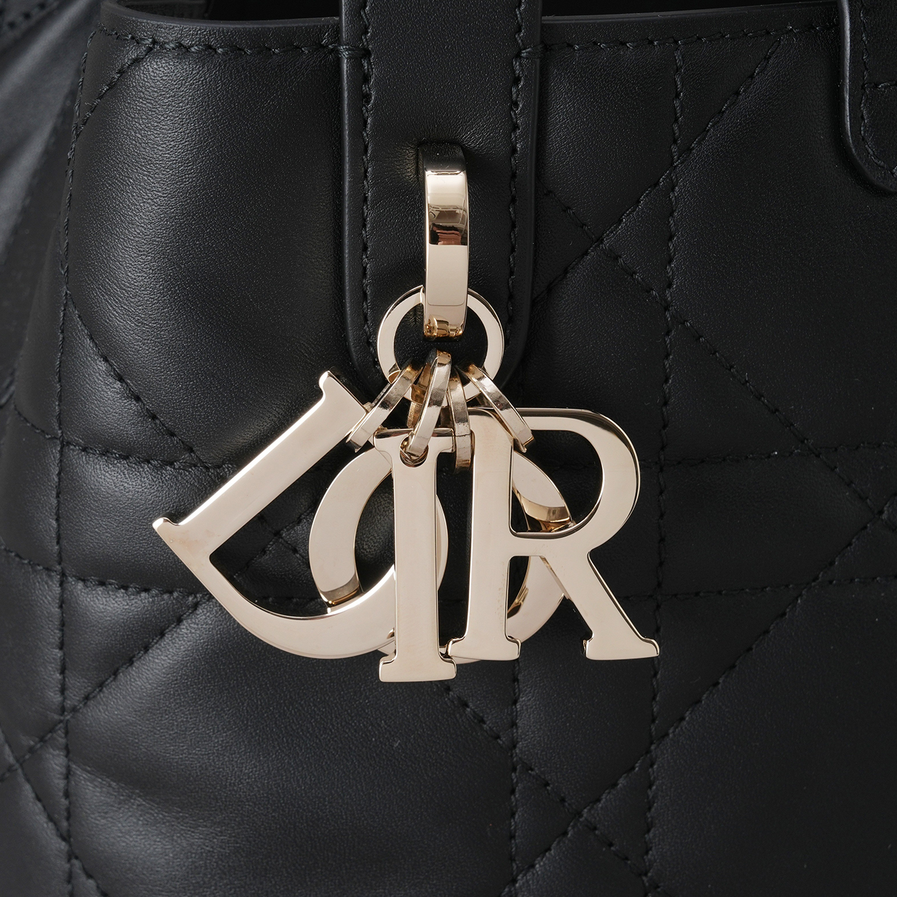 CHRISTIAN DIOR(USED)디올 M2835 뚜주흐 버티컬 토트백 스몰